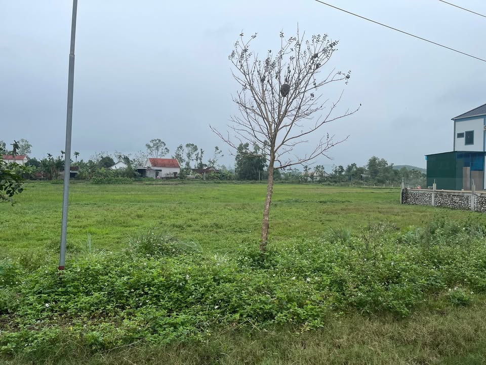 Đất đấu giá Phúc Thành 140m² giá 2 tỷ - Gần trường học và chợ