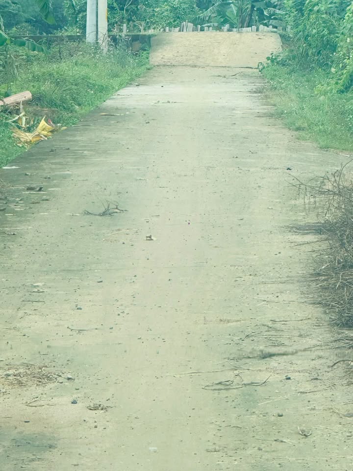 Đất thổ cư 267m² khu Dồi Phe Thạch Thất - View cánh đồng thoáng đãng!