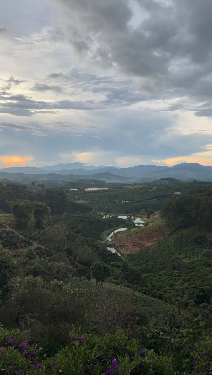 Đất nền Lâm Hà 500m² giá 800 triệu - Sổ đỏ chính chủ, pháp lý rõ ràng!