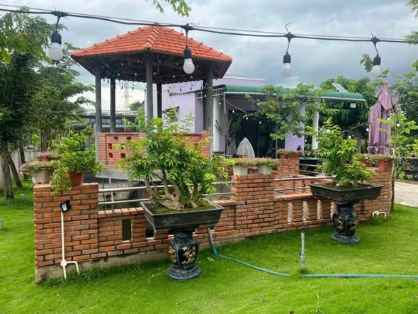 Đất vườn Hàm Thắng, Phan Thiết 1000m² giá 3.2 tỷ - Không gian xanh mát gần biển!