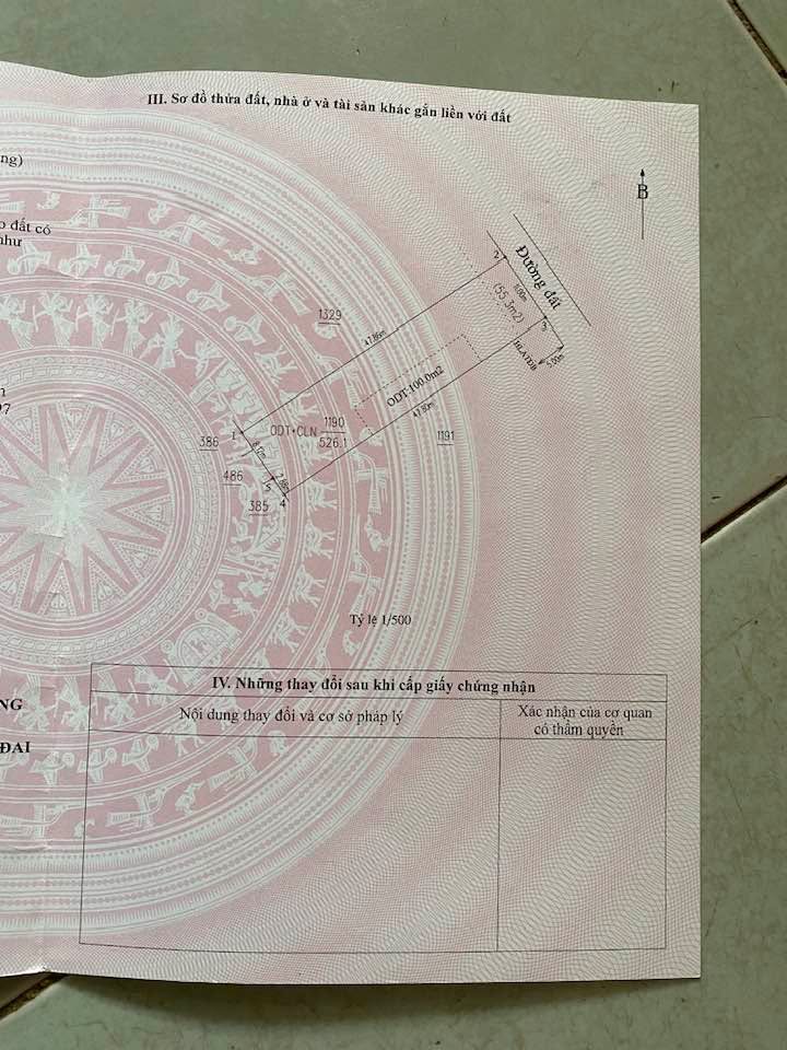 Đất nền xây trọ phường Hội Nghĩa, Tân Uyên 517m² - Pháp lý chuẩn, đầu tư sinh lời!