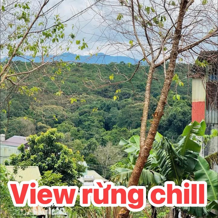 Đất mặt tiền Ngô Quyền, trung tâm Măng Đen 231m² giá 5.5 tỷ - Cơ hội đầu tư sinh lời!