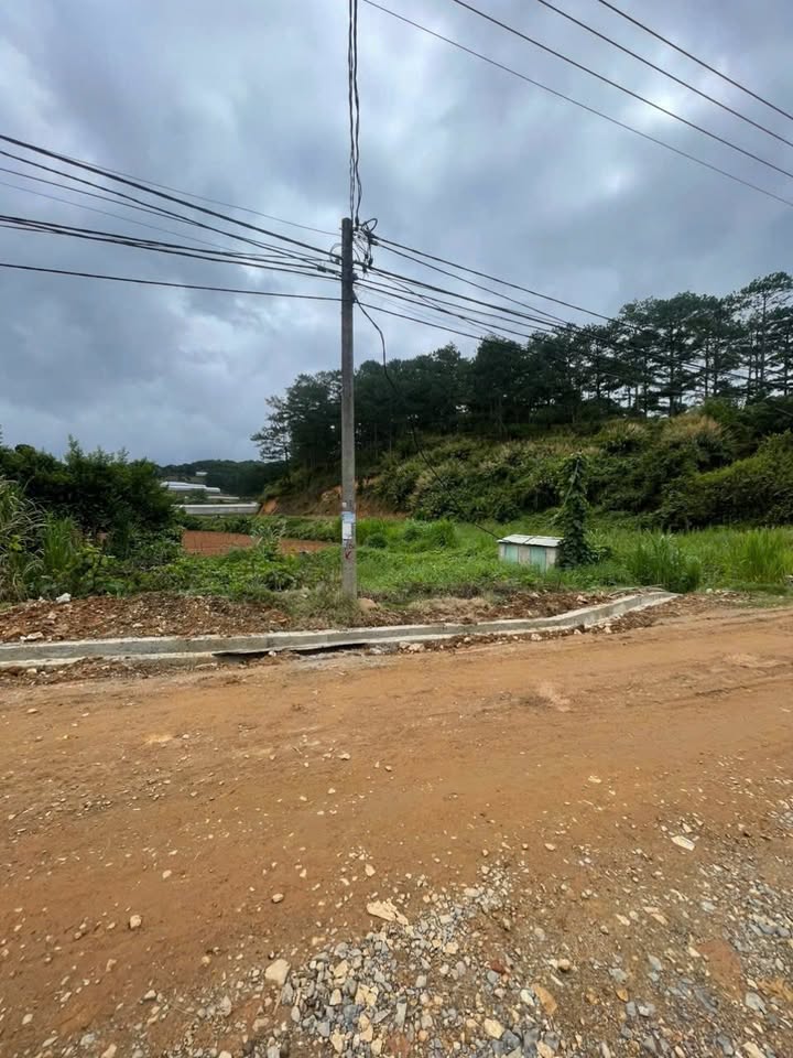 Đất nông nghiệp 848m² tại Xuân Thọ, Đà Lạt - Sổ đỏ chính chủ, giá tốt 4.567 tỷ!