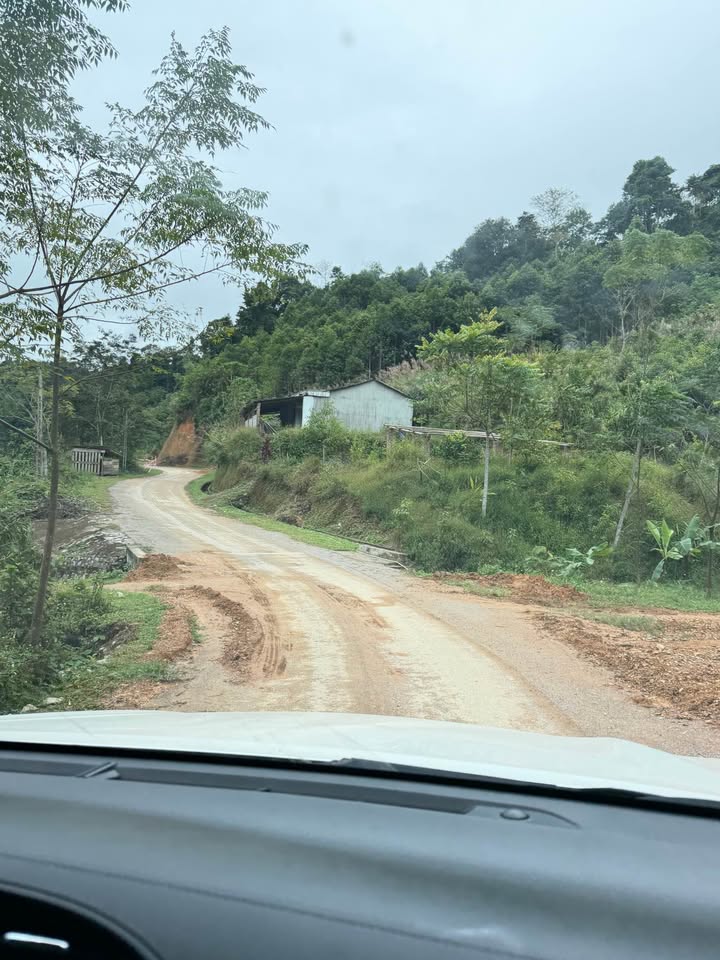 Đất Farm 3ha tại Na Rì, Bắc Kạn - Giá 1.1 tỷ, pháp lý rõ ràng!