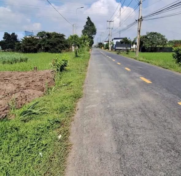 Đất mặt tiền TL833C Nhựt Tảo 1500m² giá 4.5 tỷ - Phù hợp xây nhà vườn