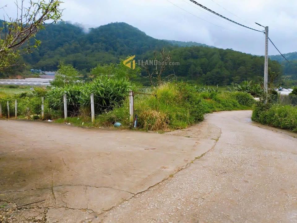 Đất Hai mặt tiền đường Mimosa, Phường 10, Đà Lạt 517m² giá 3.38 tỷ - Đầu tư sinh lời ngay!