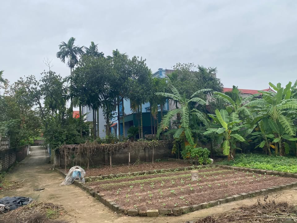 Đất lô góc Kim Thư, Thanh Oai 43.6m² chỉ 2 tỷ - Cơ hội đầu tư tuyệt vời!