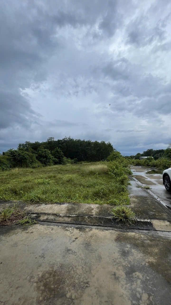 Đất nền đường 565, Trung Lập Hạ 7661m² - Đầu tư sinh lời ngay!