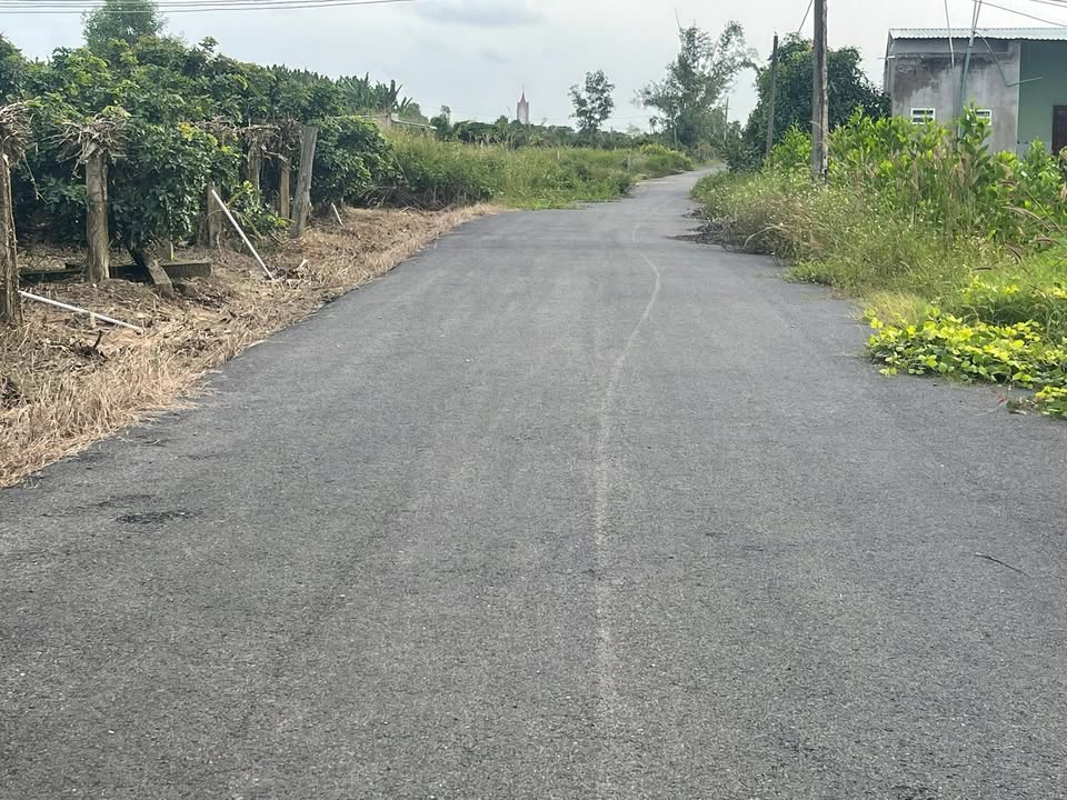 Đất vườn Bông Trang, Xuyên Mộc 1300m² giá 1.8 tỷ - Khu dân cư yên bình đẹp như tranh!