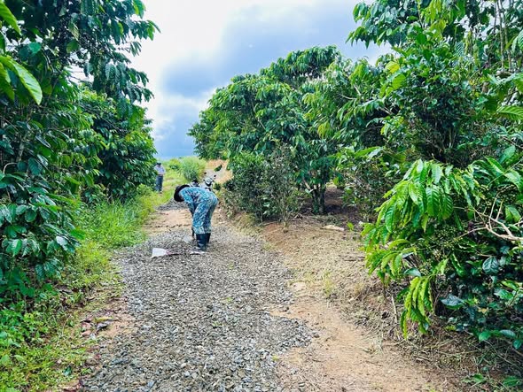 Đất Hẻm Trương Định Đà Lạt 2329m² giá 1.35 tỷ - Gần đường nhựa, view đẹp!