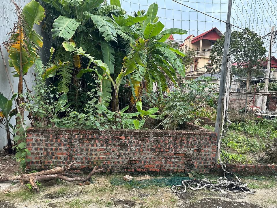 Đất thổ cư Mỹ Nội, Bắc Hồng, Đông Anh 46m² giá 3.1 tỷ - Đường ô tô tải tránh nhau!