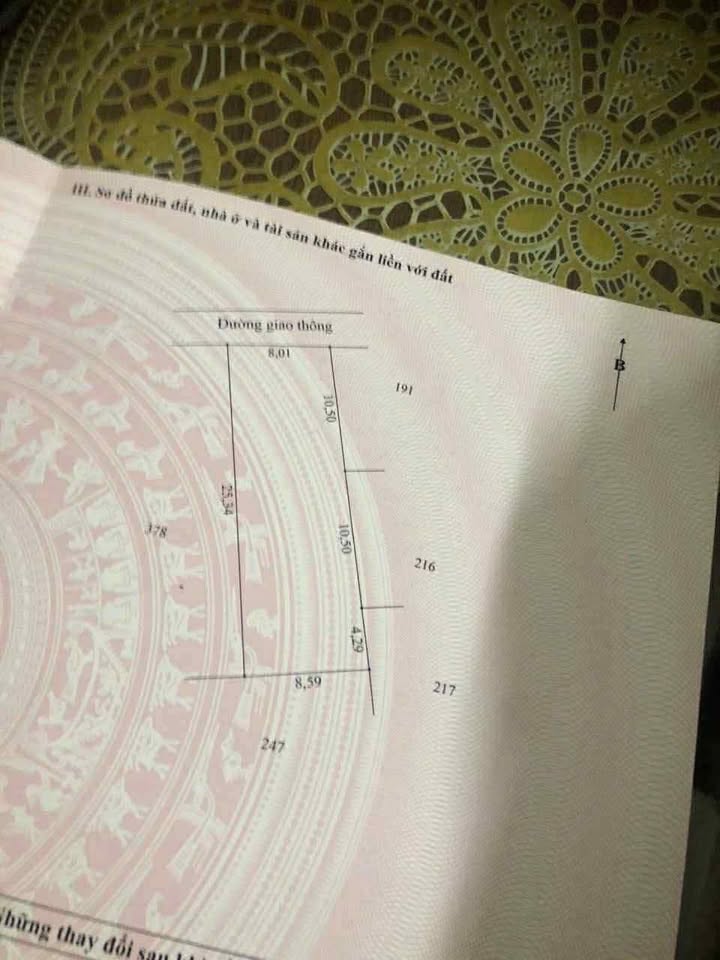 Đất nền Xuân Mỹ, Nghi Xuân 200m² giá 800 triệu - Cơ hội đầu tư hấp dẫn!