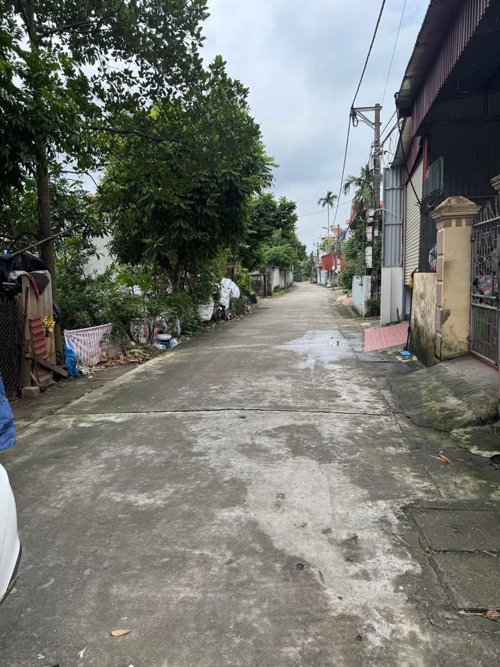 Đất nền đường Hoàng Ngân, An Tảo, Hưng Yên 187m² - Giá thỏa thuận hấp dẫn!