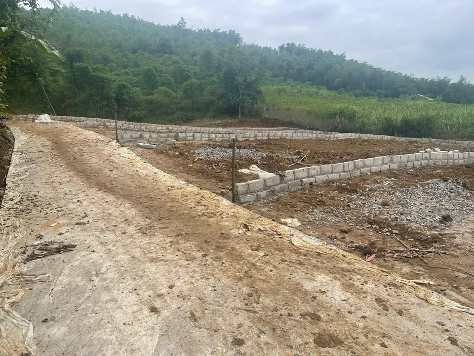 Đất nền dự án tại xã Mỹ Tân, Ngọc Lặc - Diện tích 105m² giá chỉ 80 triệu