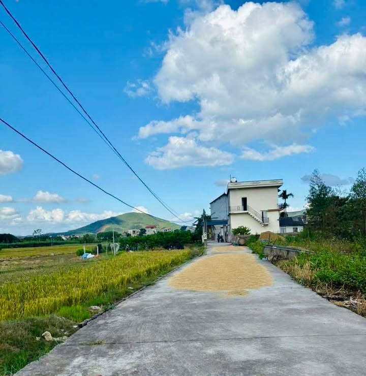 Đất nền Nghĩa Phương Lục Nam 266m² giá 700 triệu - Phong thủy an lành, sổ đỏ chính chủ!