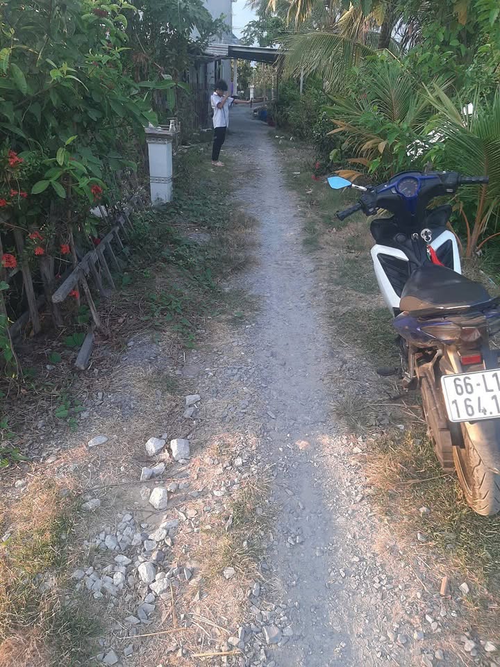 Đất nền Tân Thành, Lai Vung 280m² giá 300 triệu - Đầu tư sinh lời bền vững!