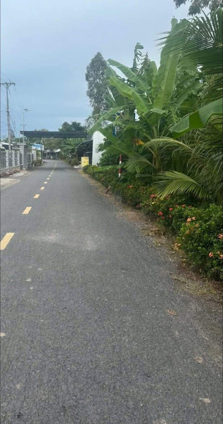 Đất nền 555m² đường huyện lộ 3, xã Long Thắng - Giá chỉ 1.85 tỷ VND, đầu tư sinh lời ngay!