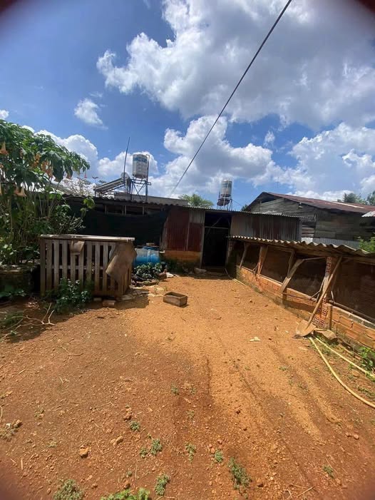 Nhà mặt tiền đường Trần Tế Xương, Bảo Lộc 1000m² giá 3.9 tỷ - Đầu tư sinh lời ngay!