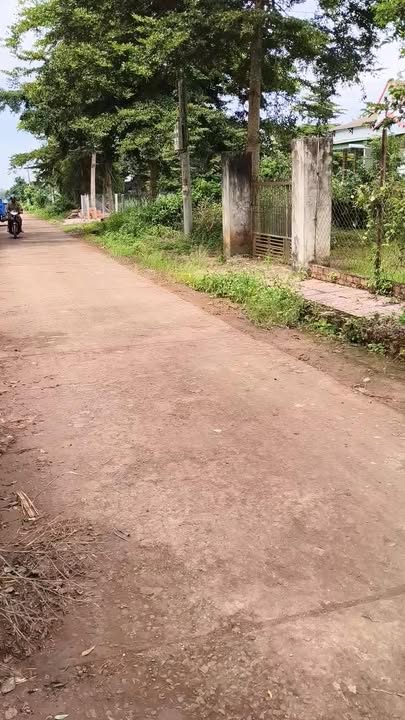 Đất nền 240m² tại Ea Tul, Cư M'gar chỉ 480 triệu - Cơ hội đầu tư tốt!