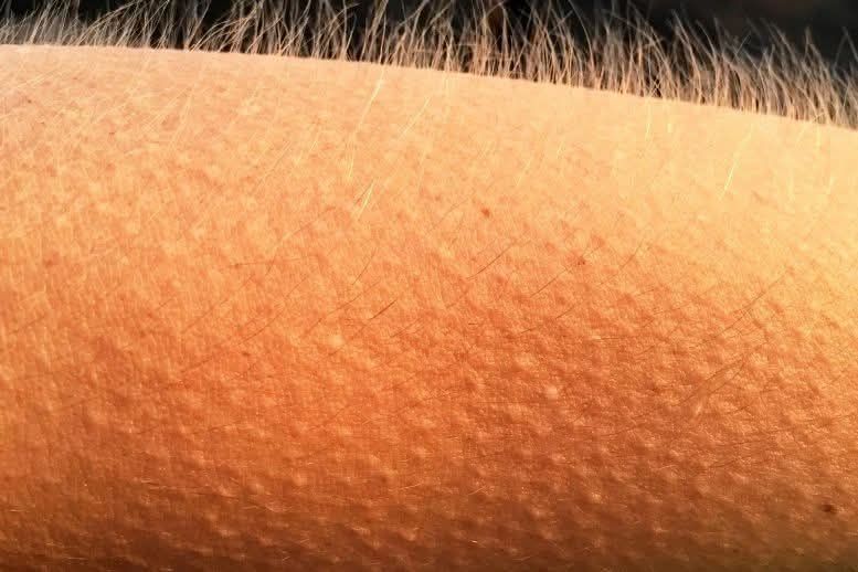 Nhà phố Phước Bình 310m² giá 3.2 tỷ - Vị trí kinh doanh sầm uất!