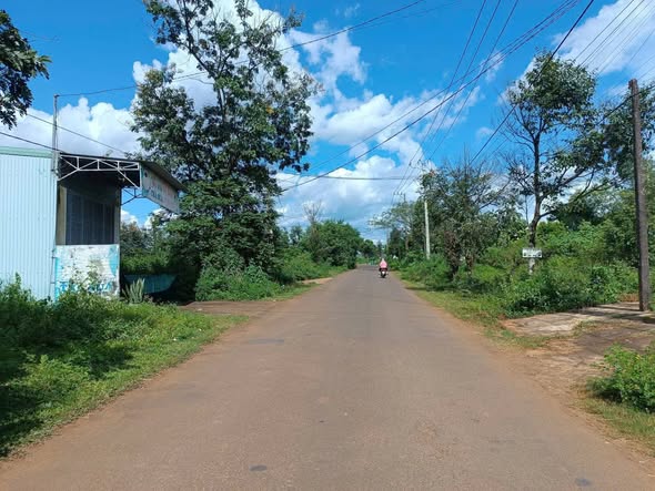 Đất nền góc 2 mặt tiền đường Bùi Viện, An Phú 367.5m² giá 1.45 tỷ - Cơ hội đầu tư hấp dẫn!