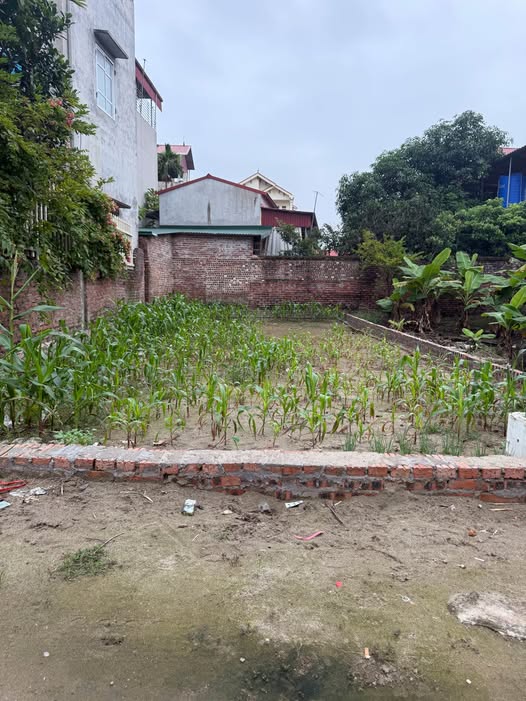 Đất nền An Bình, Thuận Thành, Bắc Ninh 54m² giá 1.6 tỷ - Cơ hội đầu tư hiếm có!