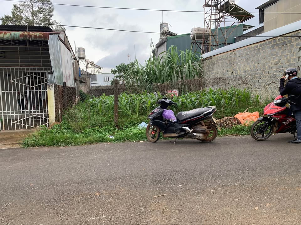 Lô đất 176m² đường Phan Chu Trinh, Bảo Lộc giá 2.3 tỷ - Đầu tư sinh lời ngay!