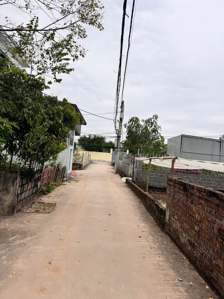 Đất Thư Dương, Thư Phú, Thường Tín 50m² giá 2.6 tỷ - Ô tô đỗ cửa, đầu tư sinh lời!