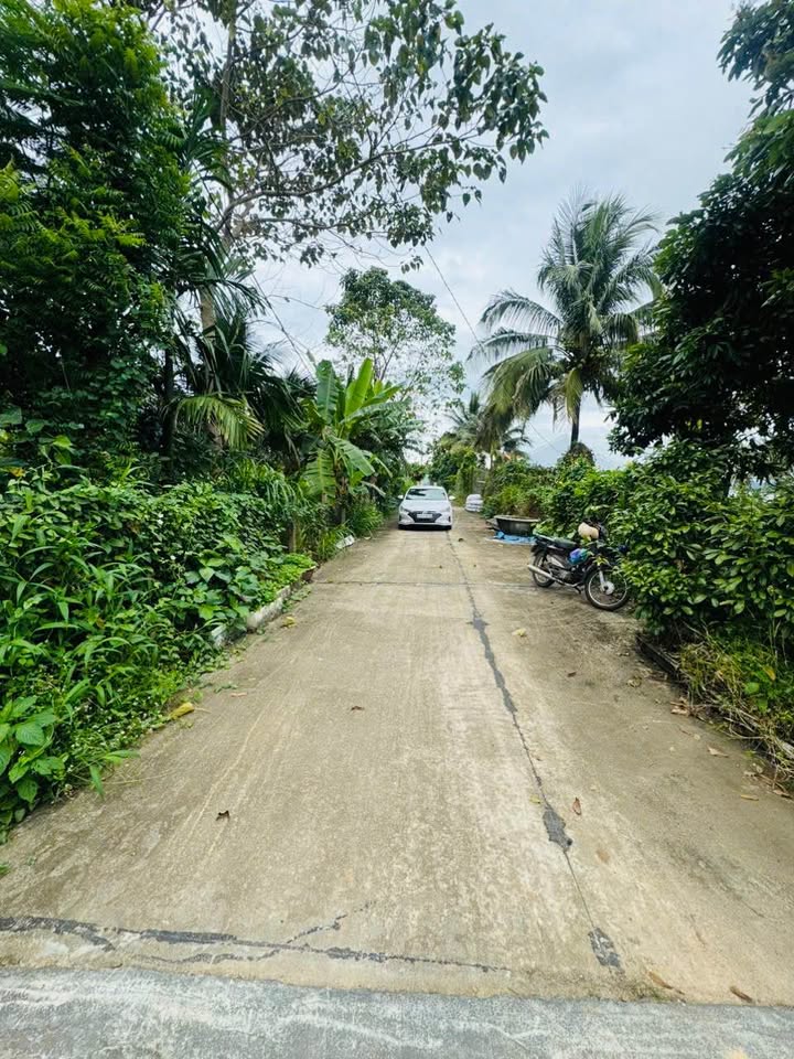 Đất thổ cư đường Nguyễn Khuyến, Thắng Lợi 250m² - Vị trí đắc địa ngay trung tâm!