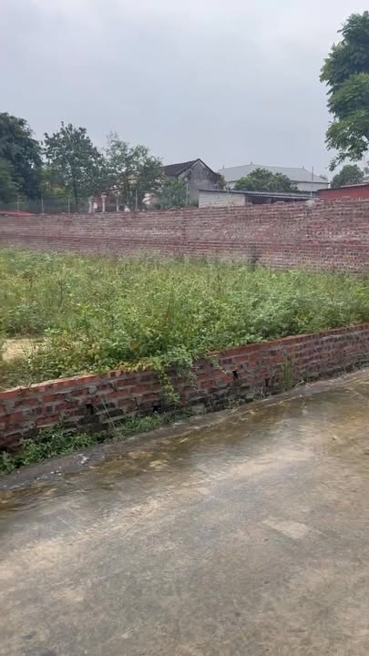 Đất nền đẹp tại Đông Cao, xã Quảng Oai, 266m² giá chỉ 2 tỷ - Cơ hội đầu tư sinh lời!