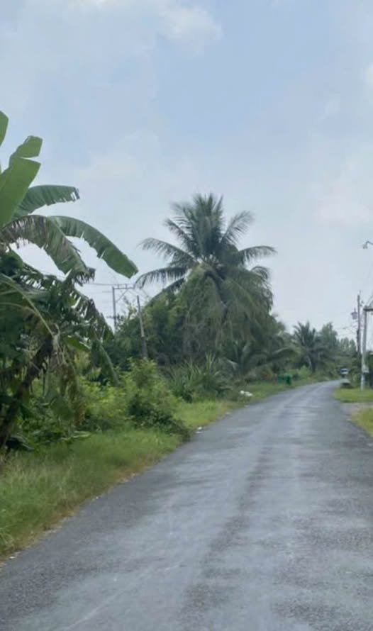 Đất nền 1000m² mặt tiền nhựa An Thạnh, Hòa Phú, Châu Thành - Giá chỉ 1.85 tỷ!