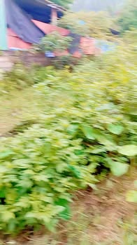 Đất nền An Lưu Kinh Môn 95.7m² - Lô góc giá tốt, ô tô vào tận đất!