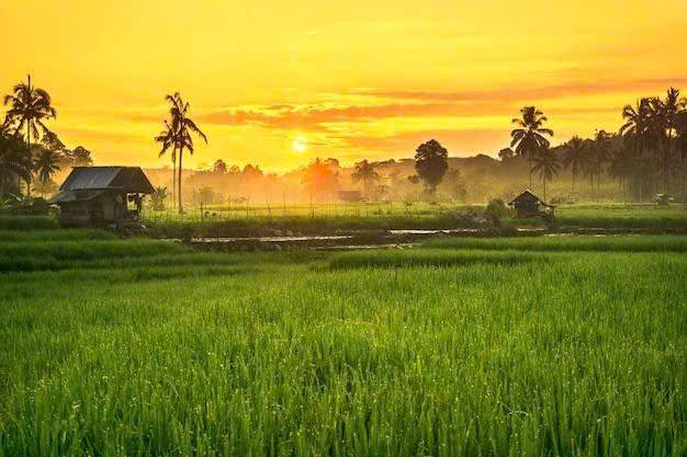 Đất thổ cư 400m² tại Trần Hưng Đạo, Kon Tum 7000m² - Cơ hội đầu tư tuyệt vời!