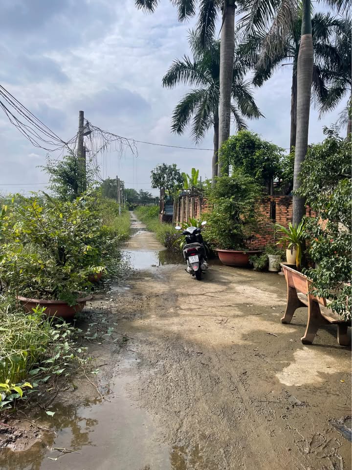 Đất nền đường Liên 2-6, Bình Chánh 96m² giá 600 triệu - Cơ hội đầu tư tốt!