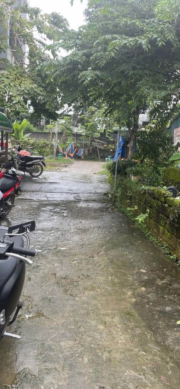 Đất thổ cư 105m² tại phường Ỷ La, Tuyên Quang - Giá 1 tỷ, đầu tư sinh lời!