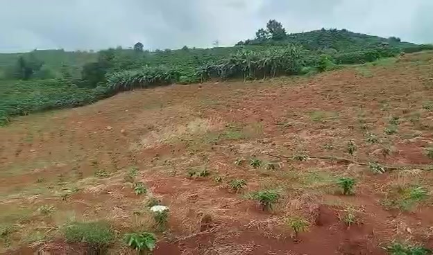 Đất nền Đạ Đờn 1,5ha giá chỉ 405 triệu - Đầu tư sinh lời ngay!