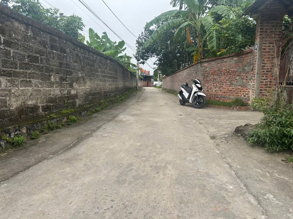 Đất nền thổ cư Bình Dương, Đông Triều 295m² chỉ 500 triệu - Cơ hội đầu tư hấp dẫn!