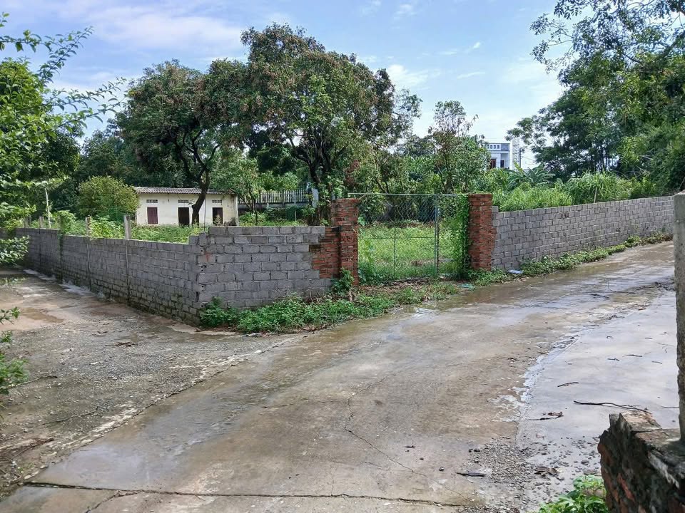 Đất nền Tùng Thiện Sơn Tây 1000m² giá chỉ 4 triệu/m² - Đầu tư sinh lời ngay!