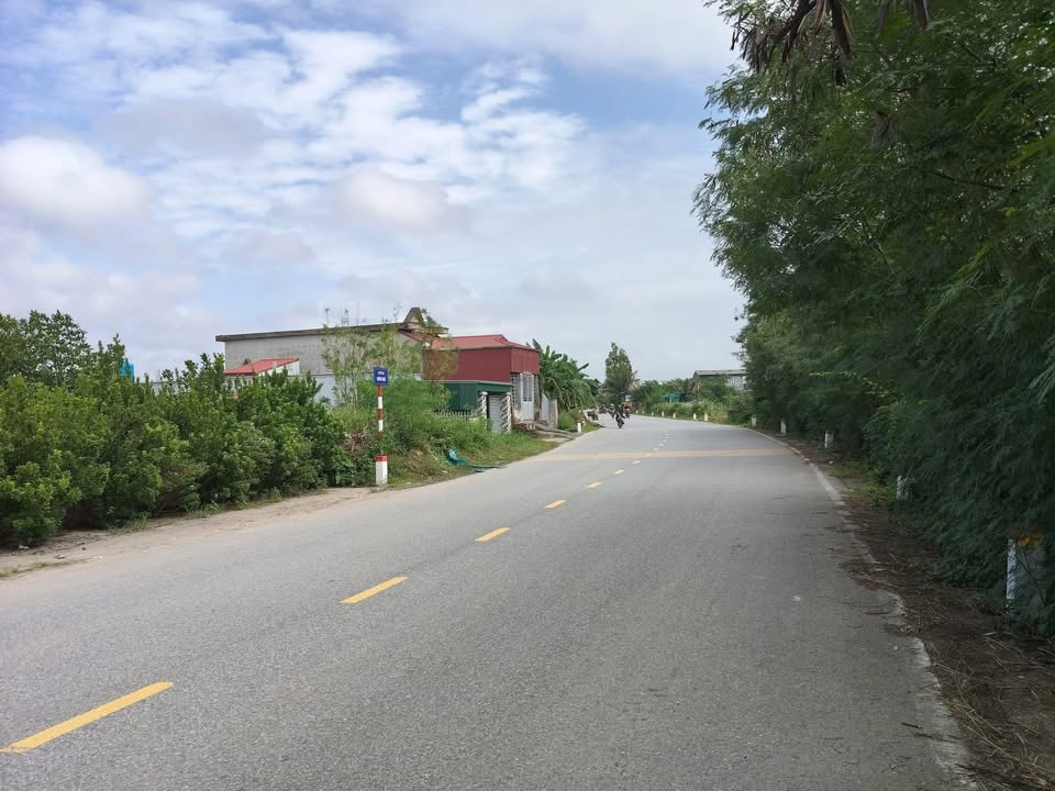 Đất thổ cư 179,5m² tại Thái Thụy - Đón đầu cảng nước sâu chỉ 3 tỷ!