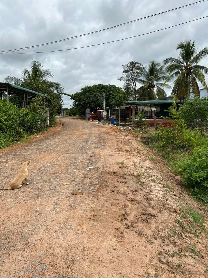 Đất thổ cư Long Giang, Bến Cầu 1400m² giá chỉ 2.6 tỷ - Sổ đỏ chính chủ!