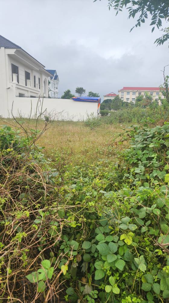 Đất thổ cư đường Đàm Quang Trung, KĐT Nam Đắk La, 302m² - Kinh doanh thuận lợi!