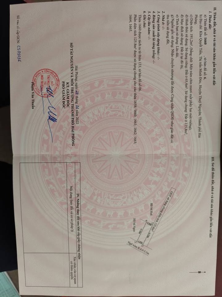 Bán đất phường Bạch Đằng, Thủy Nguyên, 65m² - Lô góc 2 mặt thoáng, giá 1.3 tỷ!