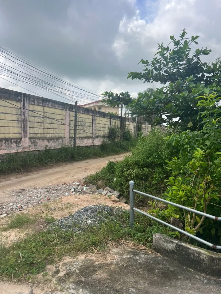 Đất Farm 4 sào tại La Gi, Bình Thuận 4065m² giá 1.8 tỷ - Tiềm năng đầu tư cao!