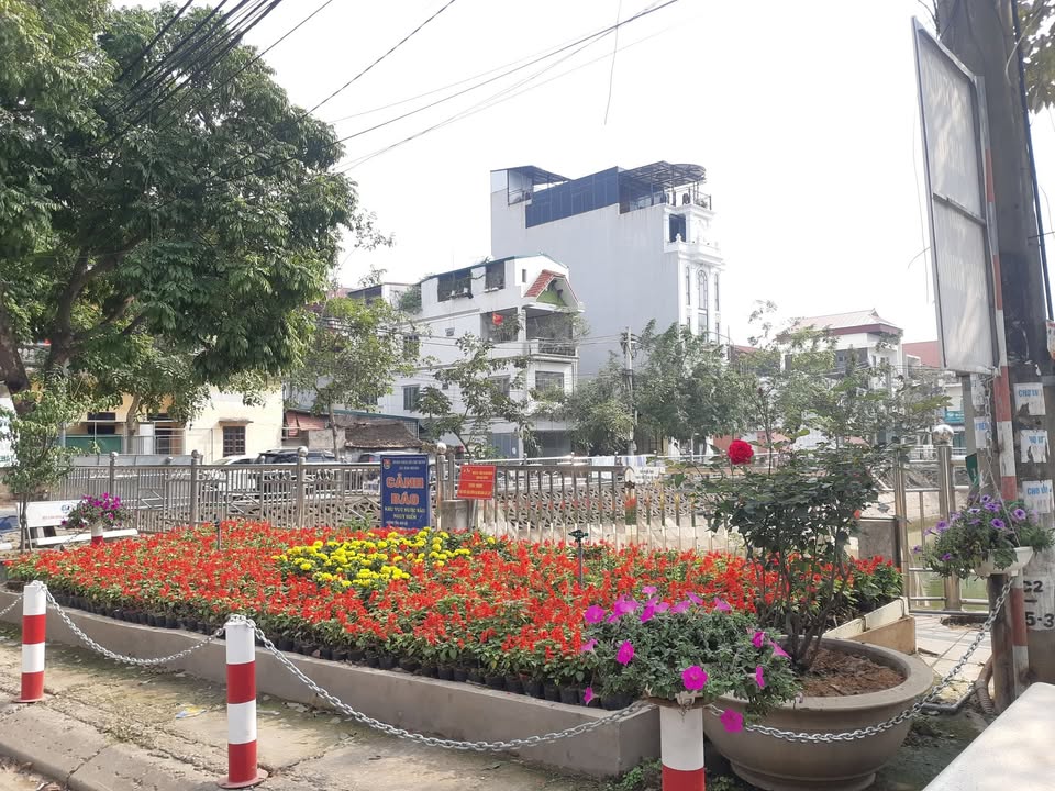 Đất thổ cư Kim Chung, Đông Anh 80m² giá chỉ 6XX triệu - Sổ đỏ chính chủ!