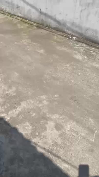 Đất thổ cư Cổ Dương, Tiên Dương 98.5m² - Gần chợ sầm uất chỉ 70m!