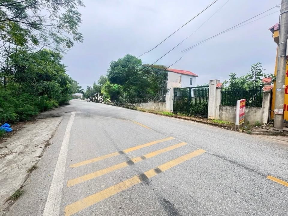 Đất mặt đường kinh doanh Thái Lai 336m² - Tiềm năng tăng giá mạnh!