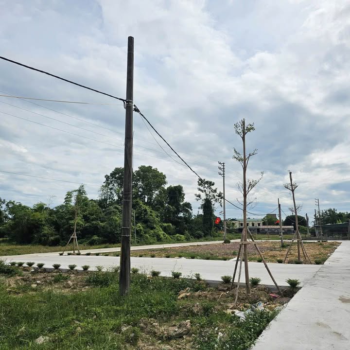 Đất nền khu 1 phường Hải Hoà Móng Cái 100m² - Sổ đỏ chính chủ, giá cực tốt!