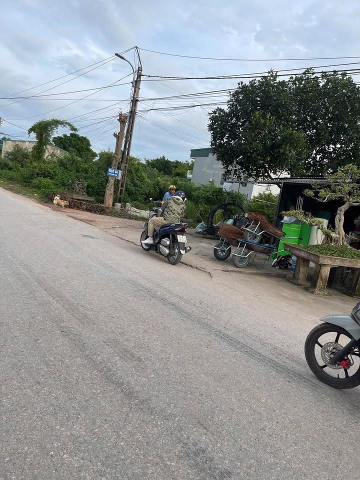 Đất nền Ngõ 4 Trần Quang Khải 103m² giá chỉ 1 tỷ - Cơ hội đầu tư tuyệt vời!