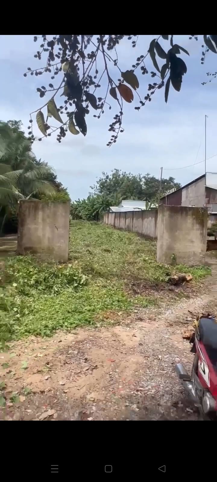 Đất thổ cư 3.790m² mặt tiền TL943, Định Thành - Giá chỉ 4,5 tỷ VND!