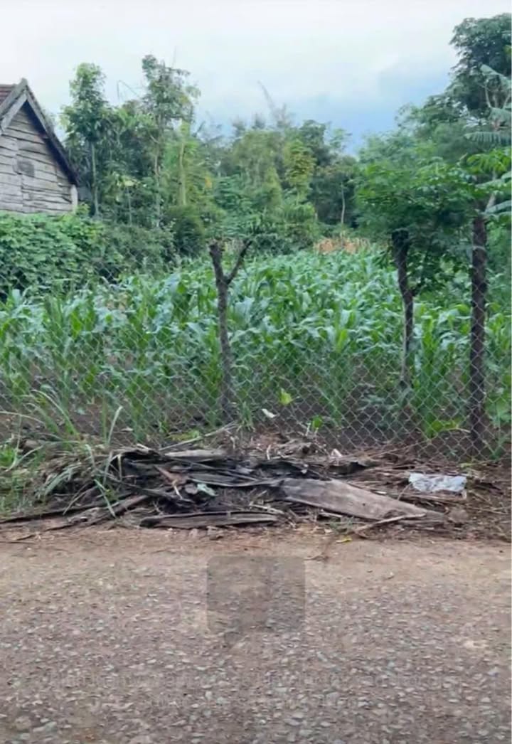 Đất nền Ea Phê Krông Pắc 210m² giá 89 triệu - Gần chợ và trường mẫu giáo!